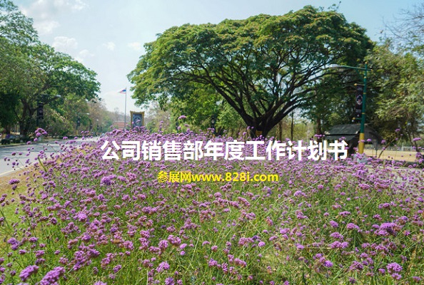 公司銷售部年度工作計(jì)劃書范文怎么寫(www.hnhuay.cn)