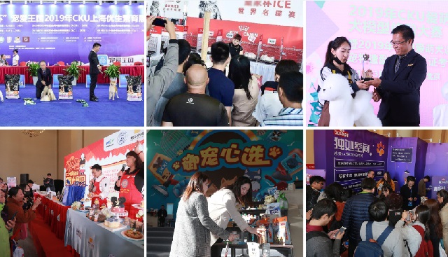 深圳華南寵物用品展覽會PetFair South China(www.hnhuay.cn)