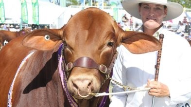 2021澳大利亞牛肉產(chǎn)業(yè)及肉類加工展覽會舉辦時間Beef Australia(www.hnhuay.cn)