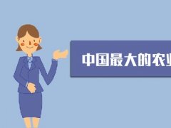 中國會展網編的頭像