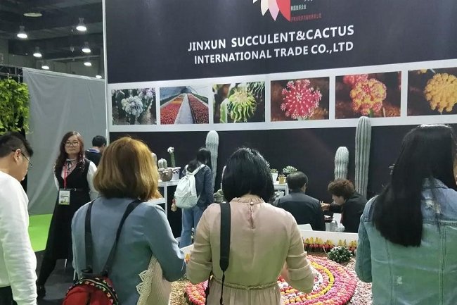 亞洲國際花卉園藝展覽會Flower Expo Asia(www.hnhuay.cn)