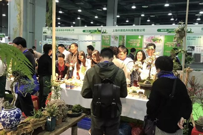 亞洲國際花卉園藝展覽會Flower Expo Asia(www.hnhuay.cn)