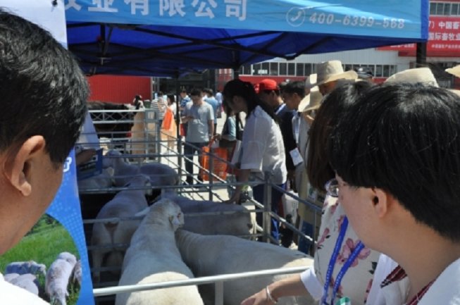中國畜牧業博覽會CAHE(www.hnhuay.cn)