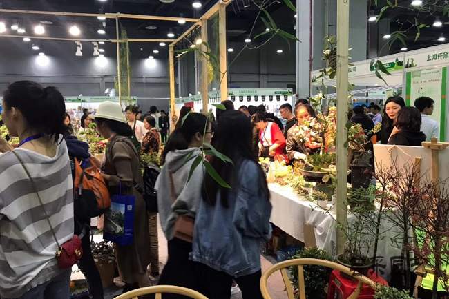 2021亞洲花卉產業博覽會Flower Expo報名地址(www.hnhuay.cn)