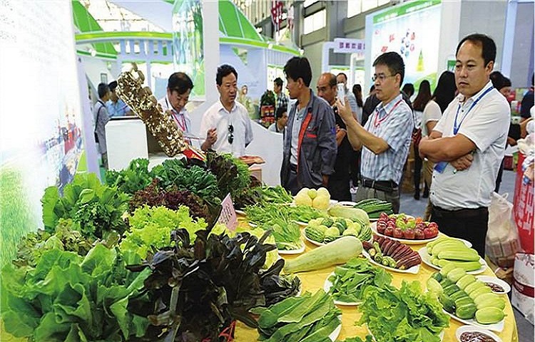 青島2021亞洲農業與食品產業博覽會(www.hnhuay.cn)