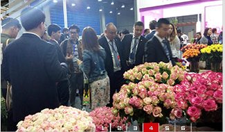 2022第14屆廣州國際花卉盆栽及花店花園用品展覽會(www.hnhuay.cn)