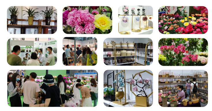 2022廣州鮮花植物博覽會(www.hnhuay.cn)
