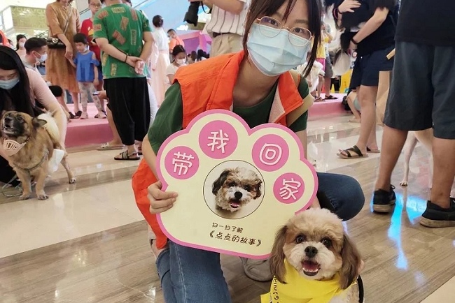 重慶國際寵物展覽會CPAE(www.hnhuay.cn)