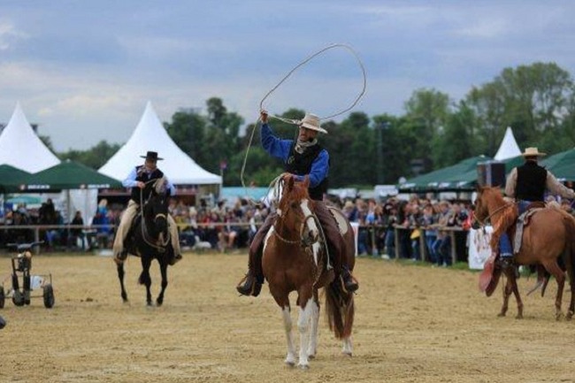 德國科隆馬術用品展覽會spoga horse(www.hnhuay.cn)