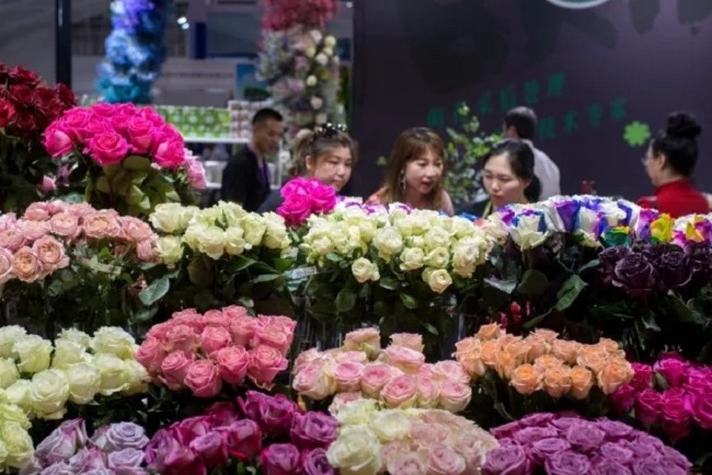 2022中國昆明國際花卉展覽會將于9月23日舉行(www.hnhuay.cn)