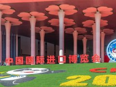 上海進博會門票如何申請？門票價格多少錢？