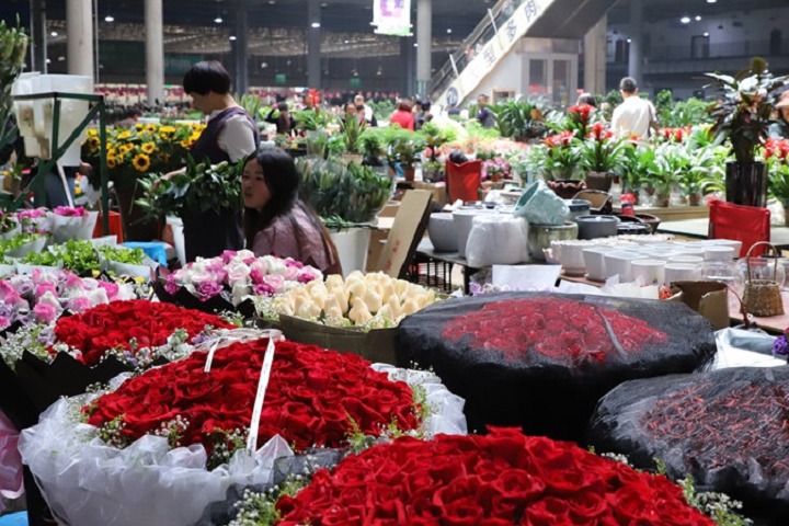 2023廣州花卉展將于5月10日舉行(www.hnhuay.cn)