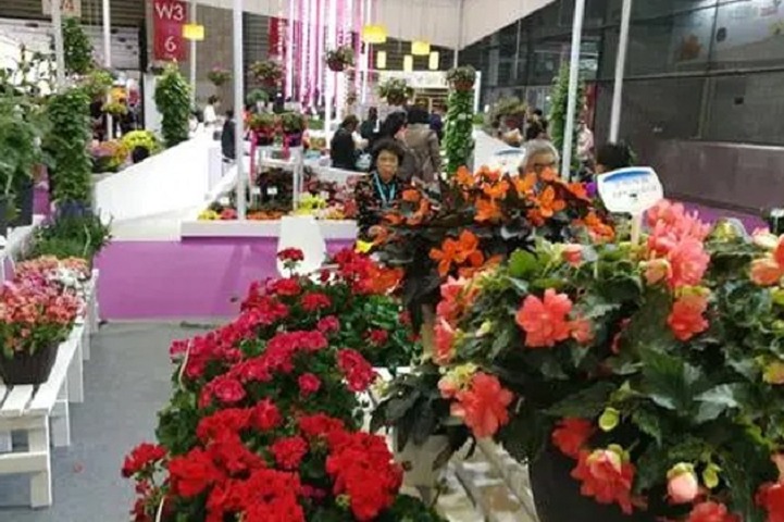 2023廣州花卉展（廣州園藝展）(www.hnhuay.cn)