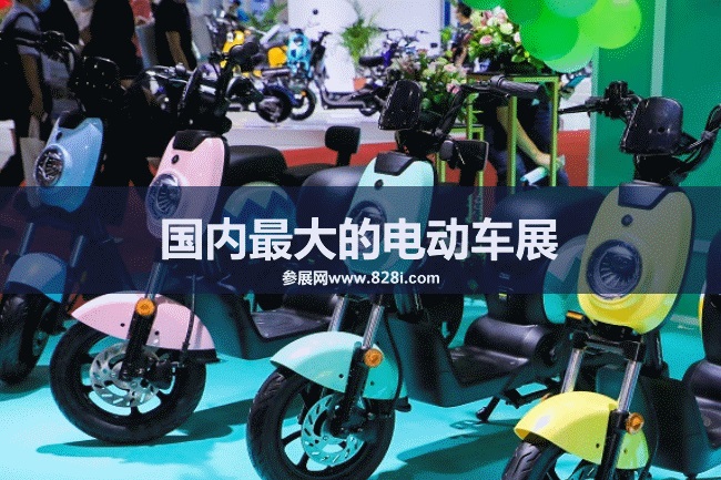 國內最大的電動車展會