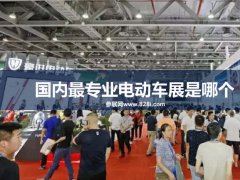 國內最專業的電動車展是哪個?廣州電動車展