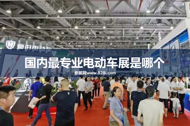 國內最專業(yè)的電動車展是哪個？廣州電動車展(www.hnhuay.cn)