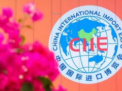 上海進博會個人可以預約參觀嗎