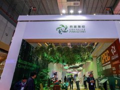 2024上海進博會觀眾門票購買已經啟動,專業觀眾100元一張