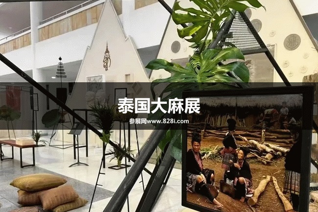 泰國大麻展 泰國大麻展