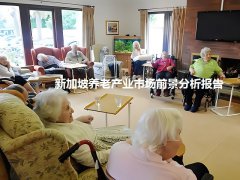 新加坡養老產業市場前景分析報告：康復器械和老年護理用品市場大
