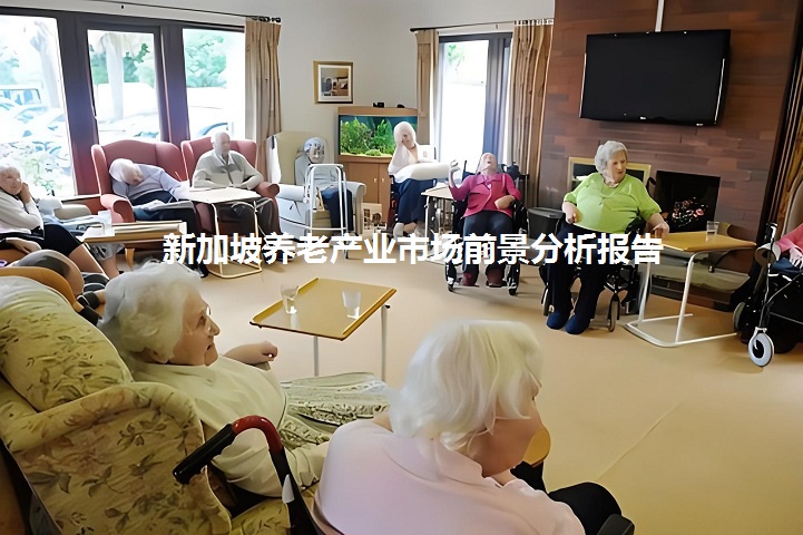 新加坡養(yǎng)老產(chǎn)業(yè)市場前景分析報(bào)告：康復(fù)器械和老年護(hù)理用品市場大(www.hnhuay.cn)