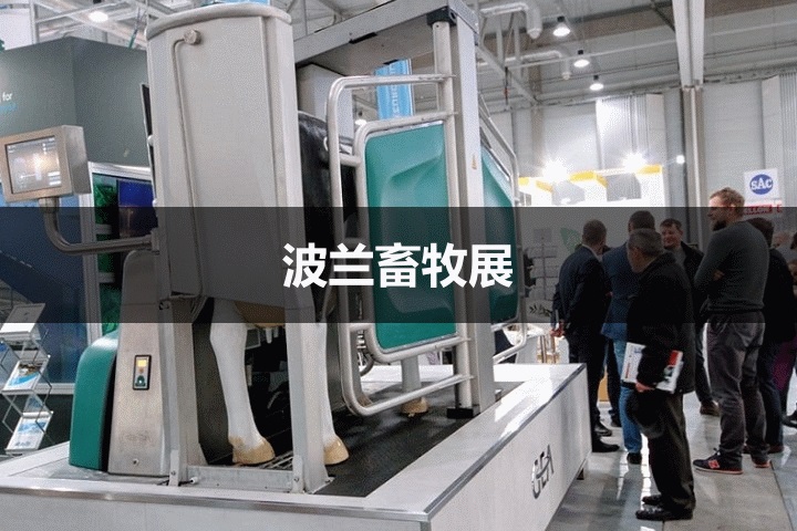 波蘭畜牧展 波蘭畜牧展