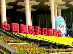 進博會門票攻略:上海進博會2024門票的價格和購買渠道