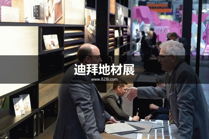 迪拜地材展 迪拜地材展