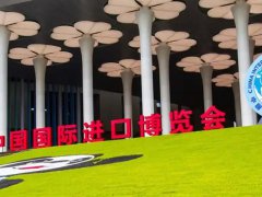 上海進(jìn)博會的頭像